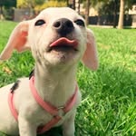 Rochelle - @rochellejackrusell - Instagram