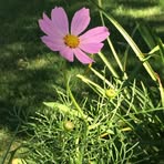 Rochelle Jeffries - Facebook