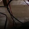 rochelleklein2000. - @yakunod4 - TikTok