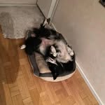 sunny - @rochellekochelle - Instagram