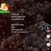 Ngô Văn Lem - @rochellelowery7 - TikTok