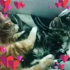 Rochelle Lowe888 - @rochellelowe1 - TikTok