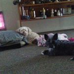 Rochelle Ramirez - @free2believe70 - Instagram