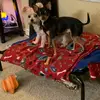 rochelleschmidt77 - @rochelleschmidt77 - TikTok