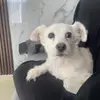 Rocio Ambriz196 - @rocioambriz4 - TikTok