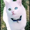 Rocio Ambriz - @rocio.ambriz46 - TikTok