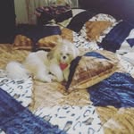 matias102vargas - @rocioarroyave - Instagram