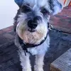 Rocio Castaneda - @user471756342 - TikTok