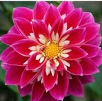 Rocio Coronado - Facebook