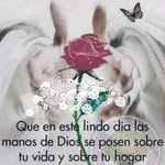 Dariela Rocio Falla Bravo - @darielarociofalla - Instagram