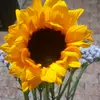 Rocio Falla - @rociofalla1 - TikTok