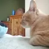 Rocio Fallain - @rocio.fallain - TikTok