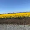 rocio Lopez - @rociol836 - TikTok