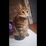 Rocio Mera - Facebook
