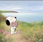 Rocio Quevedo Flores - Facebook