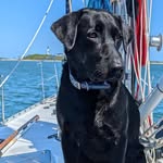 Rock Henderson - @dontrocktheboat72617 - Instagram