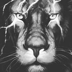 rockie_fresh - @panzer_tha_great - Instagram