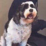 Rocky Armstrong - @rockyarmstrongshomies - Instagram