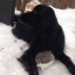 Rocky Armstrong - @rocky_armstrong - Instagram