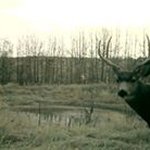 Rocky Armstrong - @rock041259 - Instagram