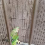 Rocky Barmon - Facebook