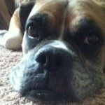 Rocky Bennett - @_rocky_bennett_ - Instagram