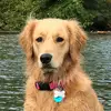 Rojobenn - @rocky.bennett6 - TikTok