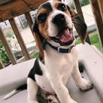Rocky Bal-Bone-A - @rocky_balbonea - Instagram