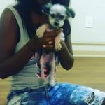 Rocky Bonez The Dog - @officiallyrockybonez - Instagram