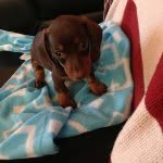 Rocky - @rocky_bonez - Instagram