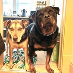 💙🤍Rocky & Brooks🤍💙 - @brooky_0711 - Instagram