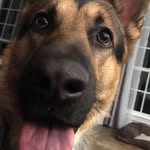 Rocky Brooks - @dat_boi_rocky - Instagram