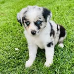 Rockybrooks - @rocky_brooks5 - Instagram