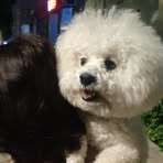 Rocky Chang - Facebook