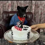 Rocky Changkija🐾 - @rocky_changkija - Instagram