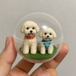 Whiskey & Rocky Chang - @whiskey.onthe_rocks - Instagram