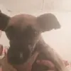 Rocky 😎😎 - @rockychi1 - TikTok