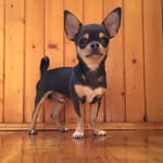 ROCKY_CHI - @rocky_chi - Instagram