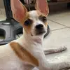 Rocky - @rockychihua0 - TikTok