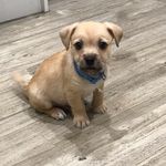 Rocky Clark - @rockyclark2018 - Instagram