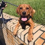 @rocky__cox1 - Instagram