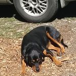 Rocky Cox-cooley - @coxcooley - Instagram