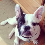 Rocky Crowder - Facebook