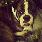 Rocky Crowder - Facebook
