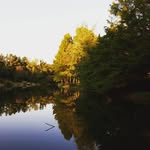 rocky dillingham - @rocky.dillingham - Instagram