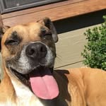 Rocky - @rocky_dillon - Instagram