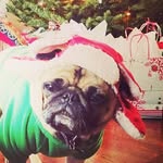 Rocky gouch Dulaney - @rockydulaney - Instagram