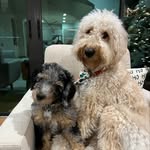 @fettyandrocky - Instagram