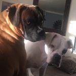 Rocky And Floyd - @rockyandfloyd1 - Instagram