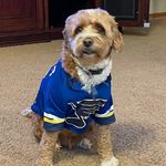 Rocky Floyd - @mr._rocky_floyd - Instagram